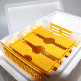 Oplodniačik - Mellarius - na 1 matku